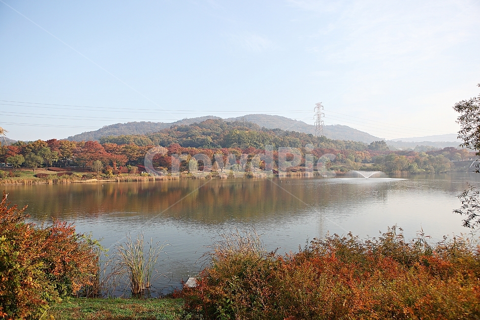 인천대공원,호수,아침,단풍,안개,울긋불긋,가을,식물,자연,풍경,공원,낙엽,하늘,가을,계절,fall,autumn,season,자연,풍경,nature,landscape,water,물,outdoors,옥외,lake