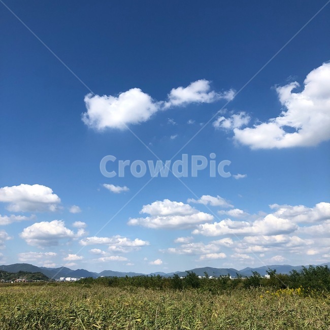 논,하늘색,초록색,맑은하늘,자연,시골마을,시골풍경,여유,구름,미세먼지,산책