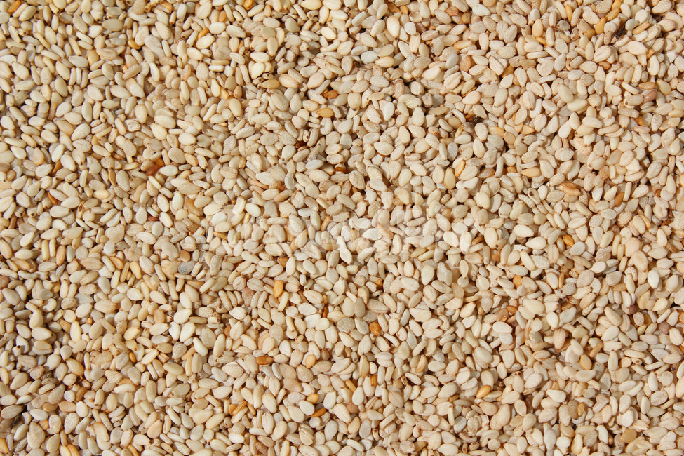 brown,closeup,dry,dummy,food,gold,grain,macro,meal,natural,nature,organic,plant,seed,seeds,sesame,sesameseed,sesameseeds,top,topangle,topview,yellow,깨,참깨,곡식,곡류,음식,음식재료,식재료,식물,씨앗,씨,갈색,브라운,말린,말리는,건조,자연,클로즈업,탑앵글,탑뷰,깨소금,농작물,농촌,농사,음식,식재료,요리,food,cook,meal,dishes,food reserves,곡류,곡식,cereals,텍스처,질감,패턴,texture,pattern