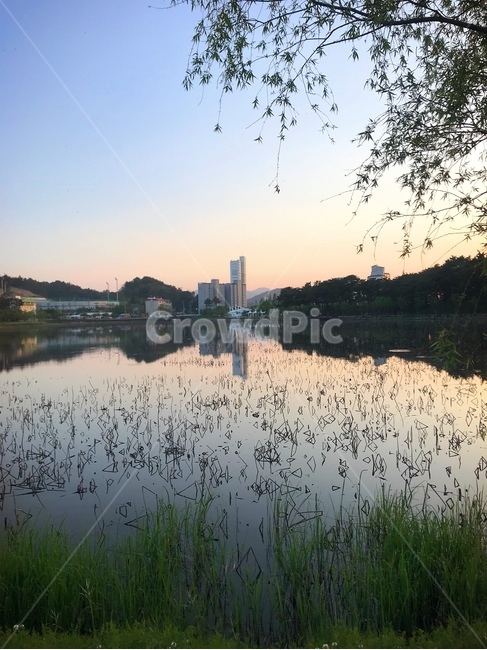 nature,자연,호수,water,outdoors,옥외,land,땅,자연,풍경,nature,landscape,물