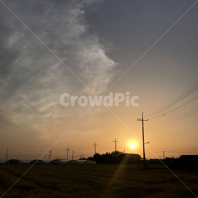 노을,sunset,논,추수,가을,시골,자연,풍경,nature,landscape,flare,플레어,light,빛,outdoors,옥외