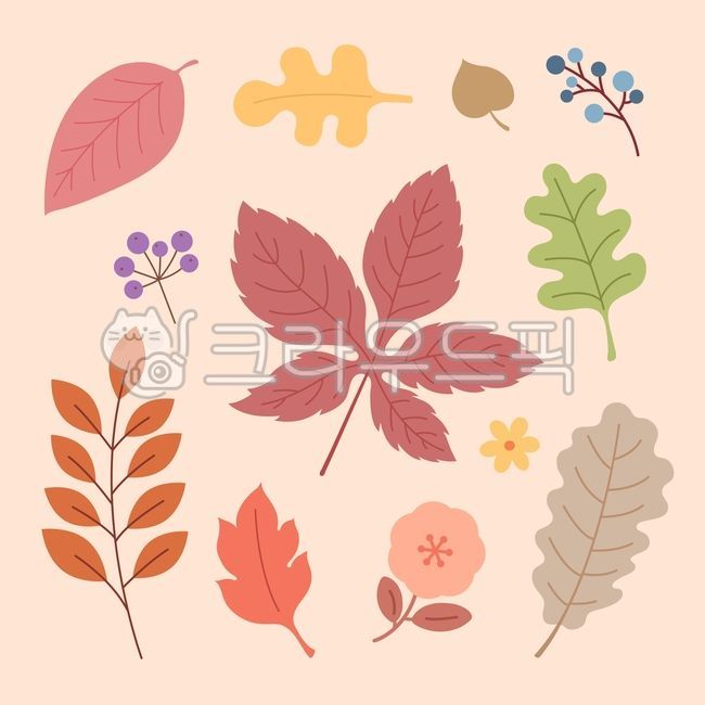 단풍잎,단풍,가을,가을요소,나뭇잎,가을단풍,fall,나무,자연,참나무,식물,elementsfall,가을낙엽,잎
