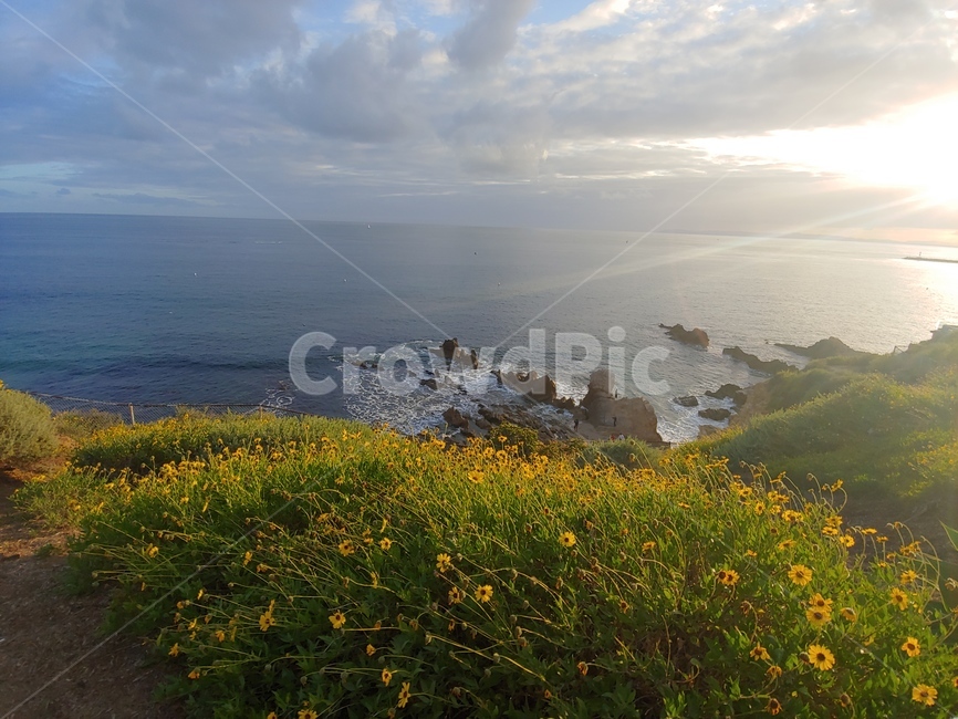 nature,바다,해안,언덕,ocean,field,grassland