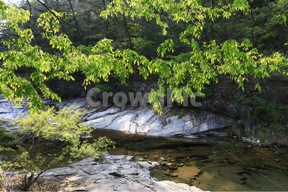 자연,산,나무,물,바위,nature,natural,tree,water,stone,stream,자연,풍경,nature,landscape,한국자연풍경,한국자연경관,korea nature landscape,휴식,힐링,rest,relaxation,healing,outdoors,옥외,흐름,creek,작은 만