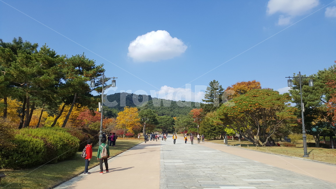 가을,나무,풍경,하늘,구름,fall