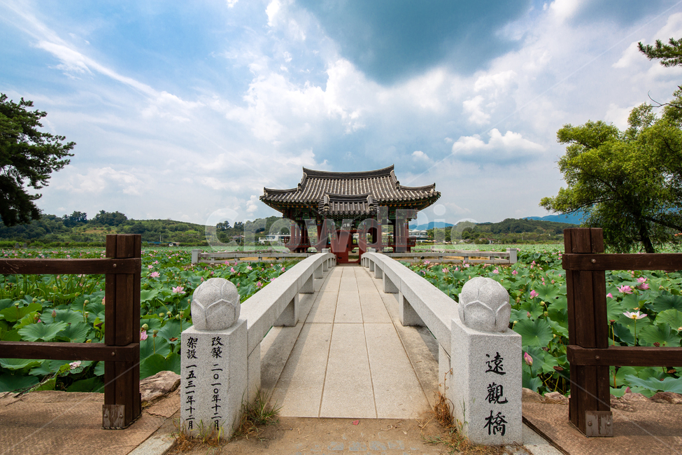 정자,다리,연꽃,연못,구름,파란하늘,한국전통,한국문화,korean traditional,korean culture,건축물,건물외관,exterior,building,structure,architecture,construction