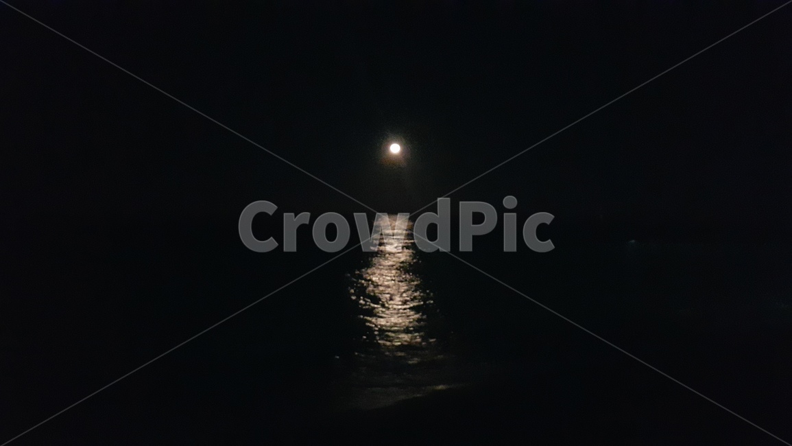 달,밤바다,달빛,보름달,바다,바다에비친달,어둠,한줄기빛,야경,밤,풍경,nightscape,night,landscape,nature,자연,outdoors,옥외