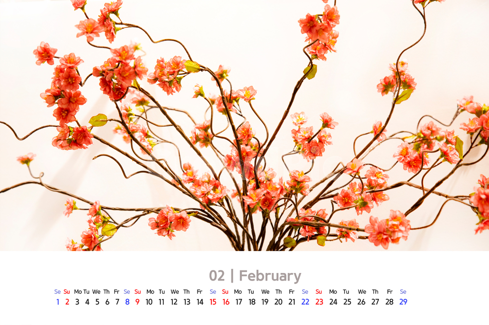 달력,2020년도,2020,날짜,요일,공휴일,월,화,수,목,금,토,일,1주간,일주일,주일,카렌다,2월,꽃,가지,꽃병,화병,자기,도자기,꽃잎,꼬불꼬불,활짝핀,만개,조화,나뭇잎,분위기,아름다운,꽃가지,나무,배경