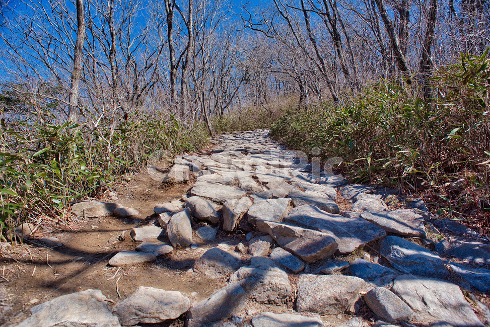 지리산,노고단,하늘,산,landscape,southkorea,mountain,자연,풍경,nature,landscape,ground,바닥