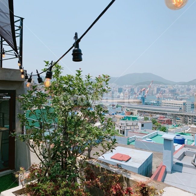 나무,tree,전구,lightbulb,풍경,landscape,영도풍경,colorful