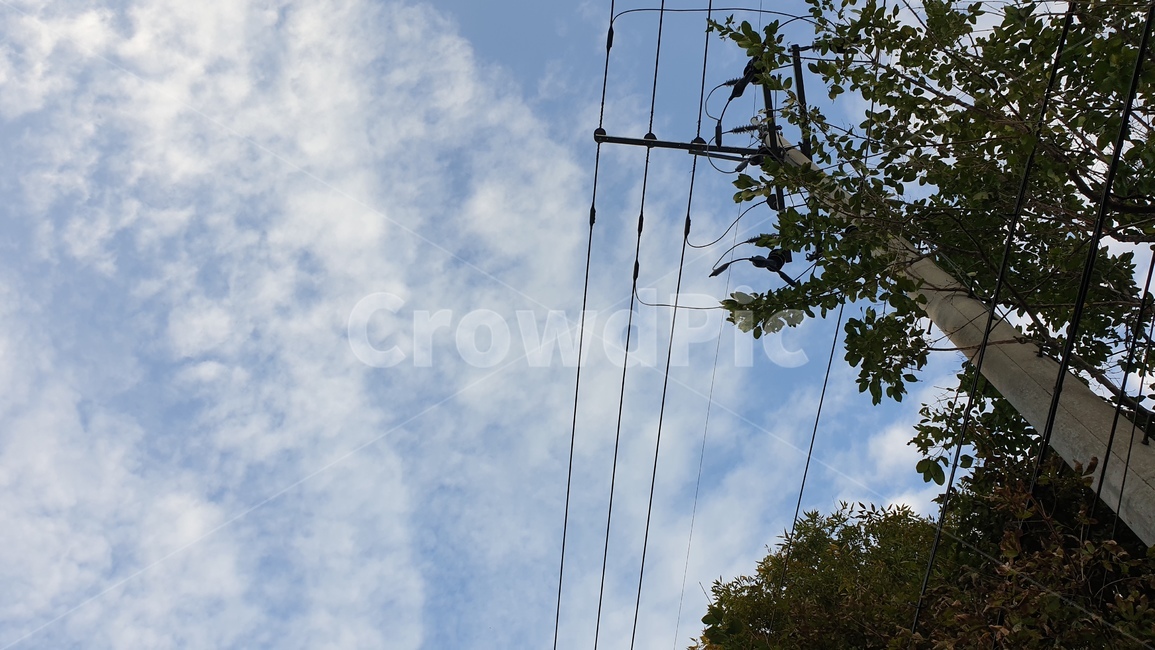 하늘,sky,tree,전깃줄,감성,푸른