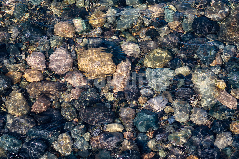 바다,돌맹이,물결,파도,sea,rock,wave