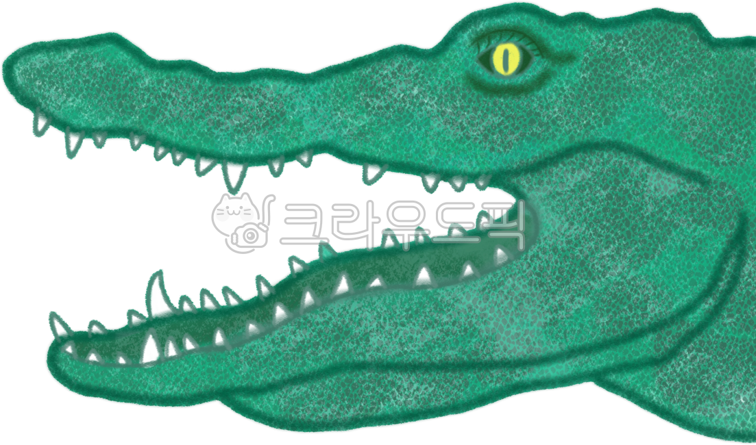Alligator,Alligator Face,Crocodile,Alligator,Amazon