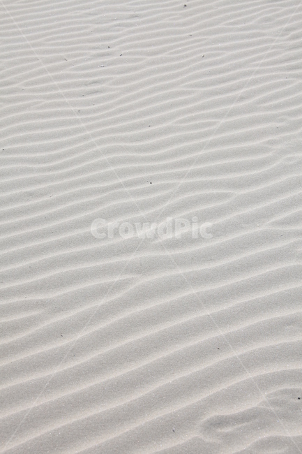 soil,흙,sand,모래,nature,자연,dune,모래언덕
