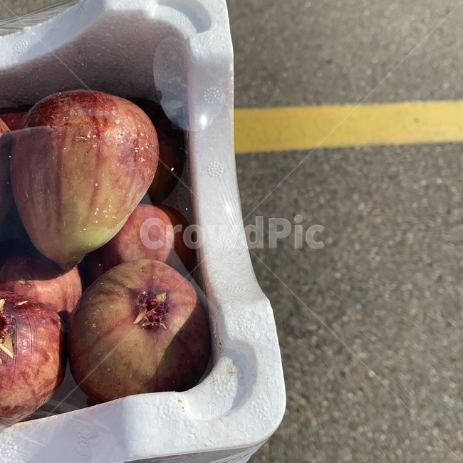 plant,식물,도로,parking,주차장,yellow,line,채소,과일,fruit,무화과,음식,식재료,요리,food,cook,meal,dishes,food reserves,과일,열매,fruit