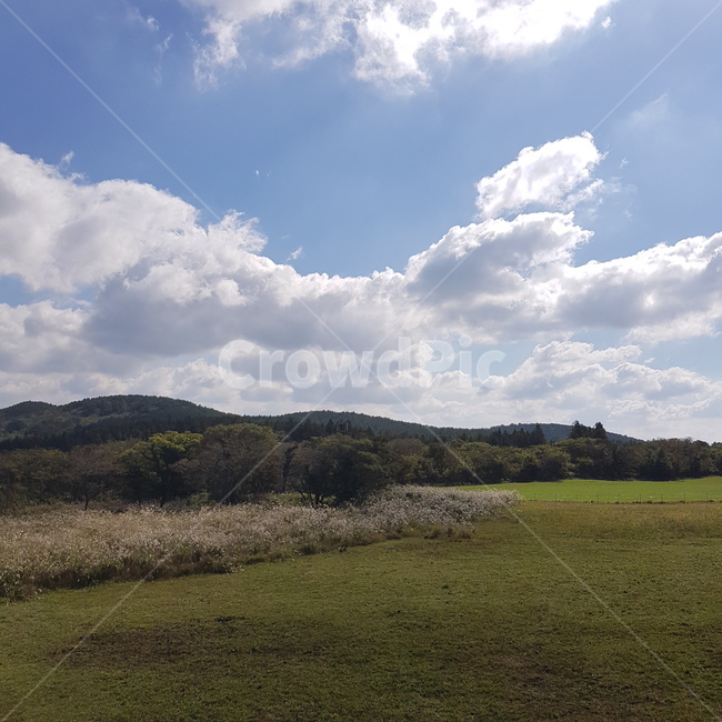 자연,풍경,하늘,들판,field,자연,풍경,nature,landscape,outdoors,옥외,weather,날씨,cloud,구름,cumulus,적운,sky,들,grassland,목초지