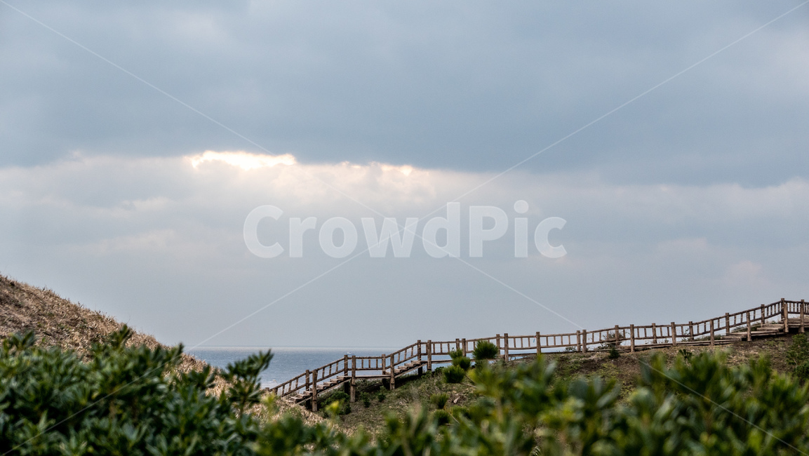 송악산,제주,제주도,jeju,송악산둘레길,풍경,landscape,outdoors,옥외,nature,자연,구름,cloud,빛,light,자연,풍경,nature,landscape,한국자연풍경,한국자연경관,korea nature landscape,제주도,jeju,jeju island