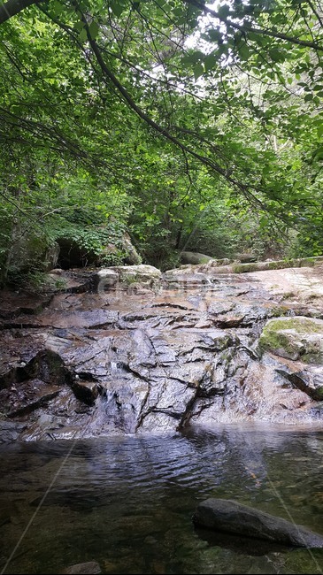 water,물,nature,자연,stream,creek,rock,록,plant,식물,계곡,valley,바위,자연,풍경,nature,landscape
