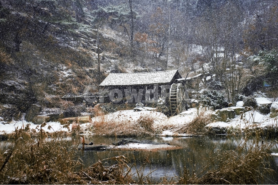 겨울,눈,물레방아,너와집,자연,계절,winter,감성,기분,feeling,watermill,snow,지붕,숲,나무,갈대,홍제천,겨울,계절,winter,season,자연,풍경,nature,landscape,한국자연풍경,한국자연경관,korea nature landscape,시골,마을,country,rural,town,outdoors,옥외,building,건물,housing,주택