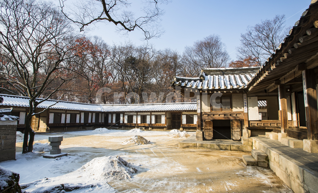 고궁,역사,서울,창덕궁,비원,조선,겨울,계절,winter,season,한국전통,한국문화,korean traditional,korean culture,랜드마크,landmark,tourist attraction,한국랜드마크,한국관광지,한국명소,korea landmark,korea tourist attraction,건축물,건물외관,exterior,building,structure,architecture,construction