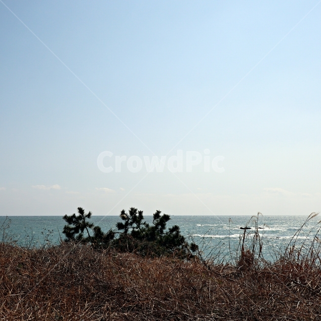 자연,하늘,바다,sea,sky,nature,ocean,water,물