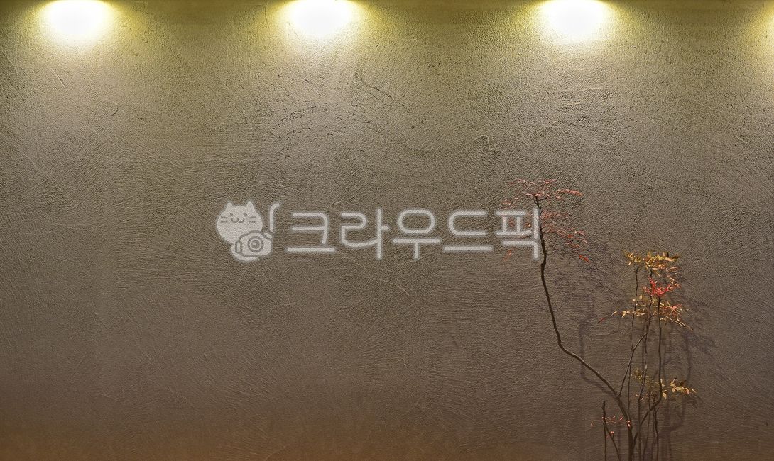 텍스쳐,조명,라이팅,표면,질감,벽면,화초,배경,바탕,백그라운드,texture,lighting,아웃테리어