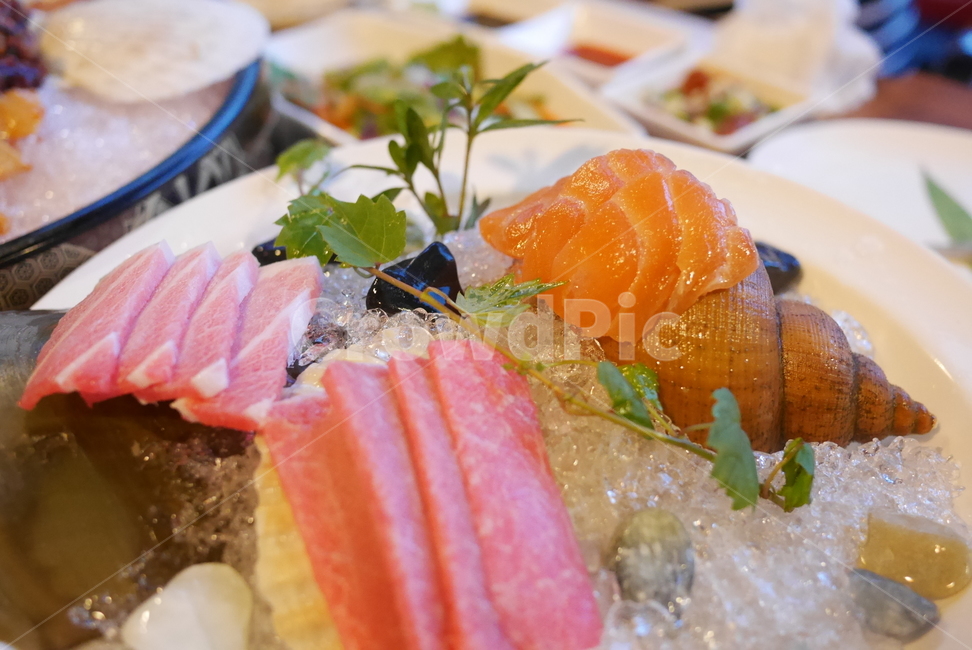 참치,참치회,회,일식,참다랑어,음식,식재료,요리,food,cook,meal,dishes,food reserves,수산물,해산물,fishery products,seafood,일식,일본음식,일본요리,Japanese food,Japanese dishes,Japanese meal,Japanese cook