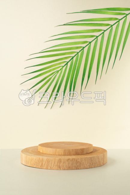 template,studio,pedestal,Fresh,award stand,horizontal composition,advertising,Flowers,Natural,space,empty,presentation,Leaves,interior decoration,Plant,award,Out of Focus,copy space,Tree,wood,stand,exhibition,Nature,Center,business,Branches,display,Closeu
