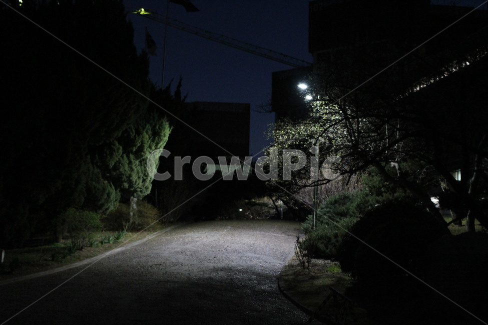 야경,저녁풍경,밤풍경,밤,풍경,저녁,야경,밤,풍경,nightscape,night,landscape,asphalt,아스팔트