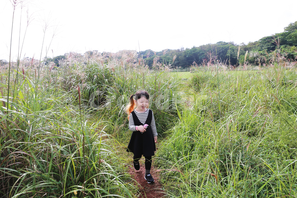 제주도,분위기,딸,아이,어린이