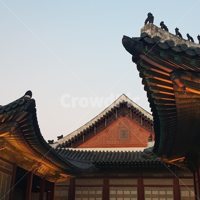 한국,경복궁,gyeongbokgung,야간개장,palace,한국전통,한국문화,korean traditional,korean culture,건축물,건물외관,exterior,building,structure,architecture,construction