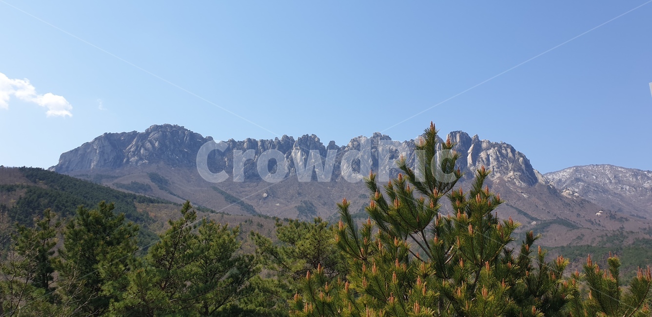 설악산,자연,풍경,산,하늘,한국,자연,풍경,nature,landscape,tree,나무,plant,식물,outdoors,옥외,mountain range,산맥,mountain,fir,전나무