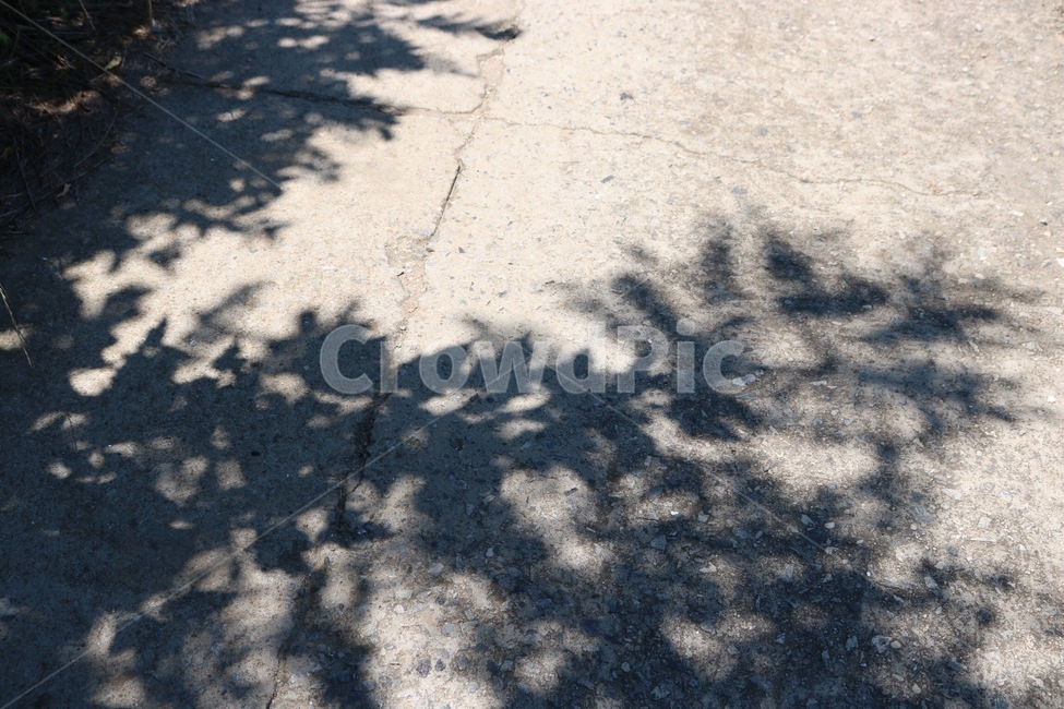 햇빛,그림자,길,감성,sunlight,hizashi,shadow,kage,road,michi,검정,black,kuro,자연,풍경,nature,landscape,path,통로