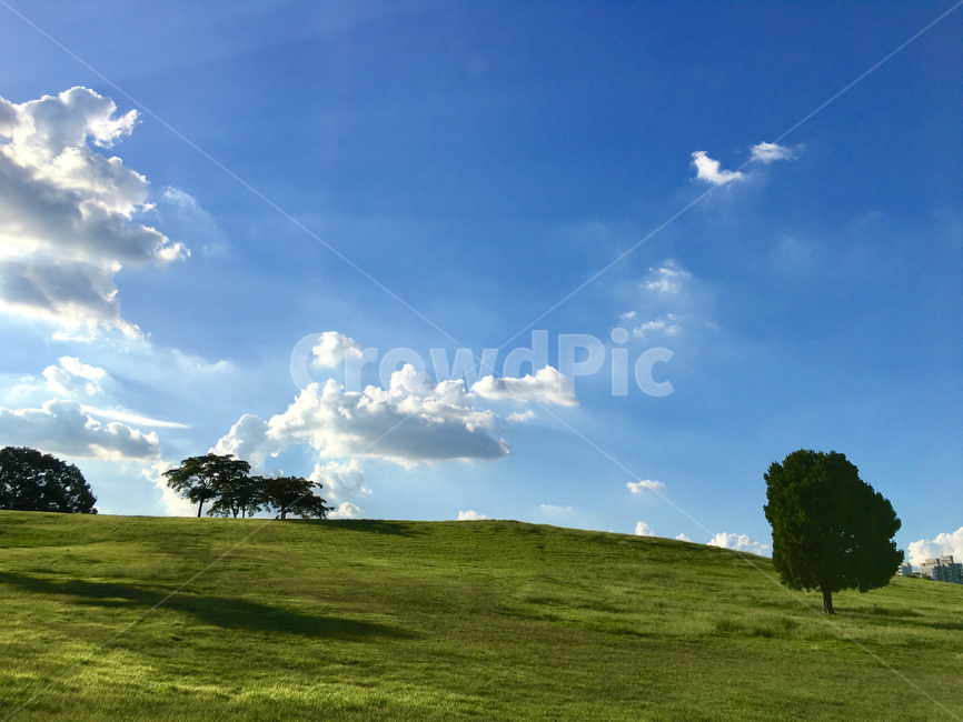 Olympic Park,alonetree,Alone tree,olympicpark,cloud,grass,sight,Korean natural scenery,sky,korealandscape,wallpaper,nature,tree,backgroud,seoul,korea,background,koreanaturelandscape,Wallpapers,landscape