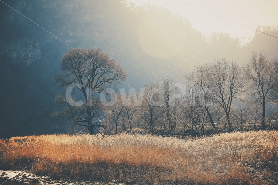 강원도,가을,갈대,산,풍경,정선,강,새,고요,아침,경관,자연,풍광,nature,landscape,한국자연풍경,한자연경관,koreanaturelandscape,감성,감정,sensible,feeling,emotion,계절,season,마을,rural,한국전통,한국문화,koreatraditional,koreaculture,plant,나무,trees,wood,가을,계절,fall,autumn,season,자연,풍경,nature,landscape,한국자연풍경,한국자연경관,korea nature landscape,감성,sensible,feeling,outdoors,옥외,ice,얼음,빙
