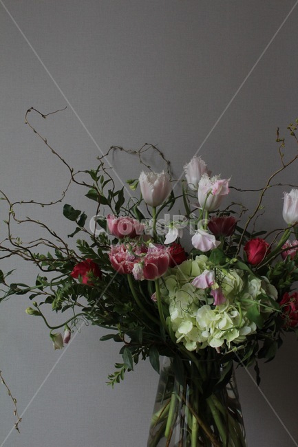 꽃,flower,blossom,장미,수국,나뭇가지,풀,식물,꽃다발,실내,꽃꽃이,꽃,flower