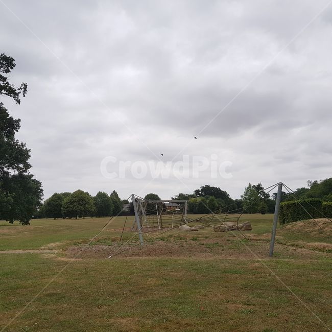field,들,outdoors,옥외,nature,자연,grass,잔디,grassland,목초지,plant,식물