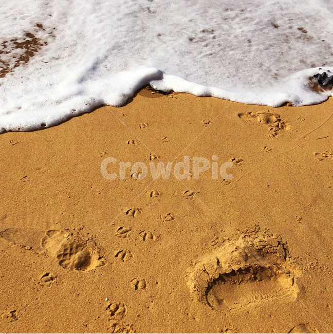 바다,모래,파도,힐링,자연,sand,nature,sea,새,발자국,해변,바다,beach,sea