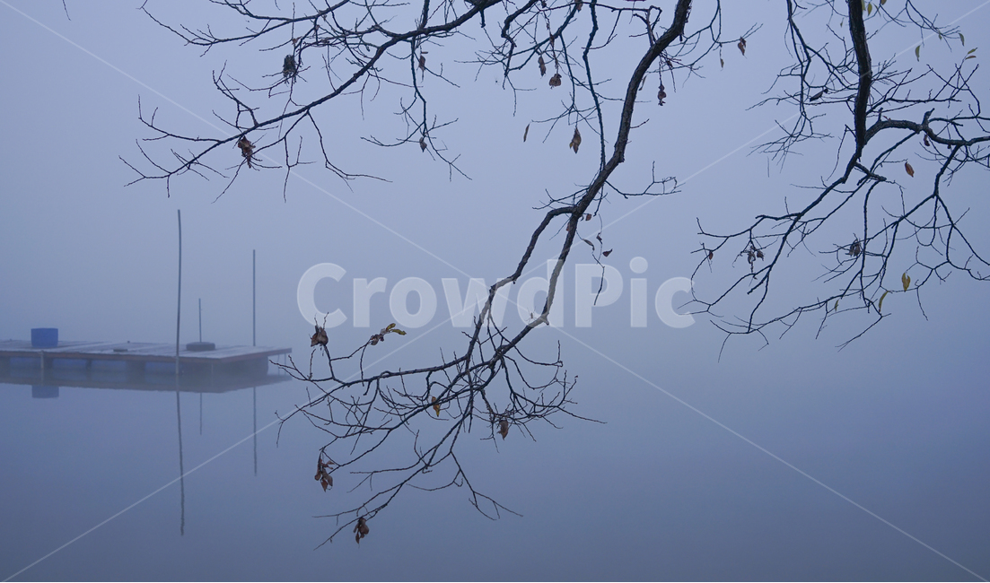 호수,낚시터,낚시,부교,다리,나무,가을,안개,새벽,자연,풍경,nature,landscape