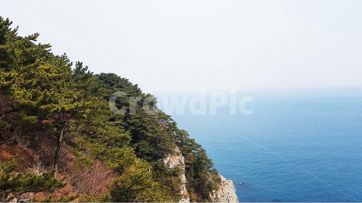 바다,바닷가,파도,해안가,수평선,자연,풍경,절경,해안도로,하늘,절벽,해안절벽,나무,윤슬,물거품,부산,이기대,해파랑길,겨울바다,파란색,바위,자연,풍경,nature,landscape,outdoors,옥외,cliff,낭떠러지,promontory,곶