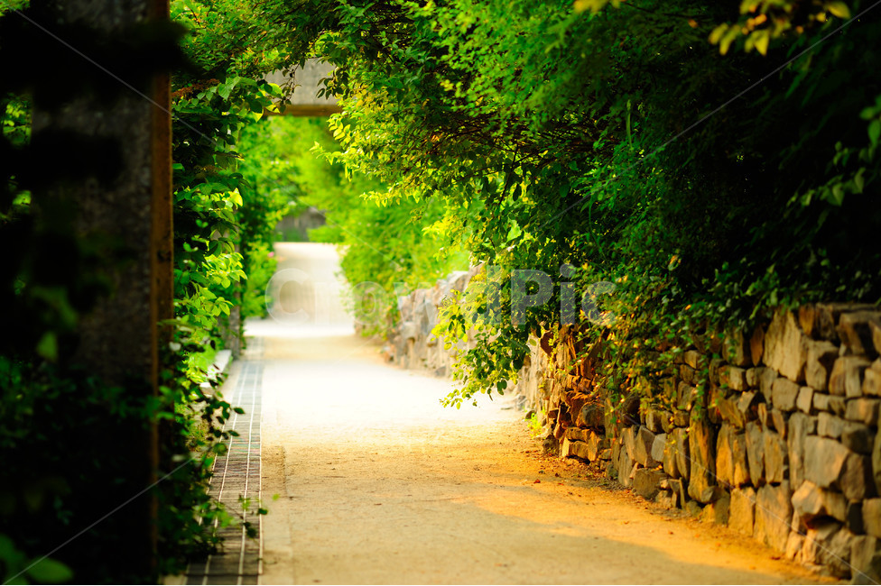 봄,선유도초록,숲길,햇살,공원,자연,풍경,nature,landscape,garden,정원,outdoors,옥외,arbour,정자