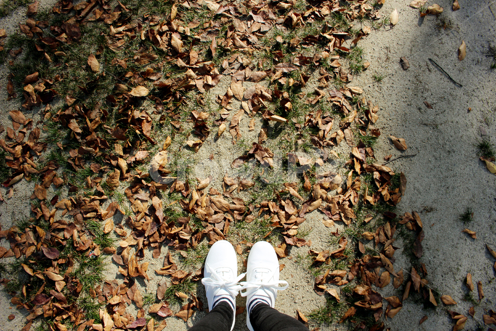 낙엽,흰운동화,그림자,가을,leaves,fall,낙엽들,가을,계절,fall,autumn,season,ground,바닥