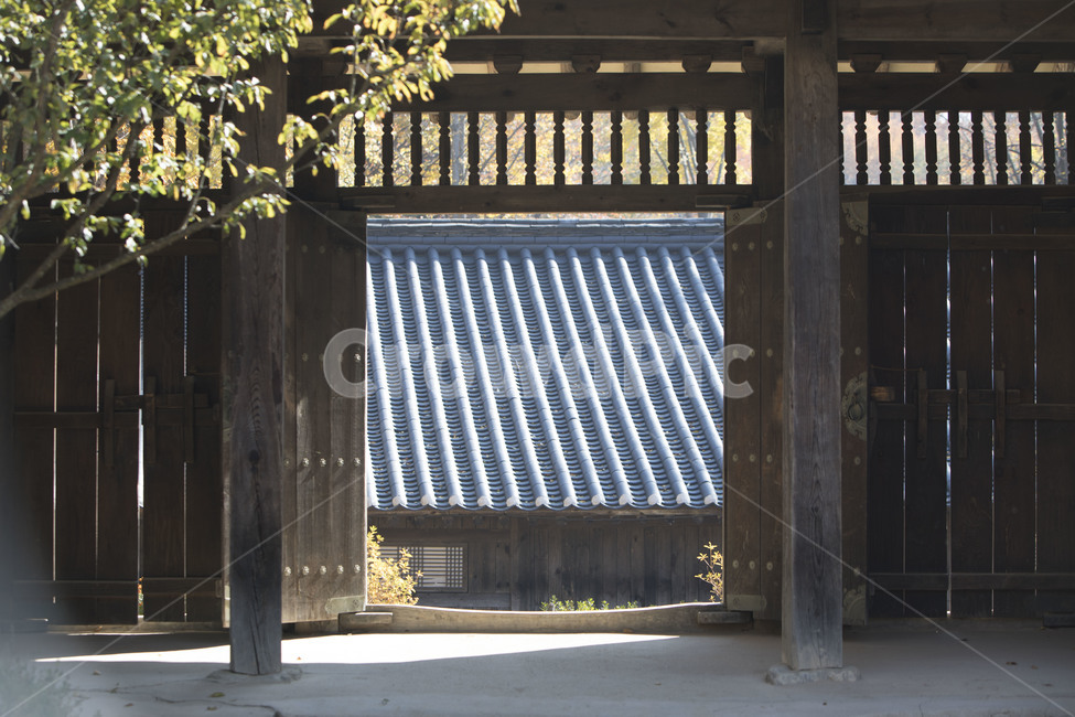 고택,감성,기와,그림자,한옥,구옥,전통가옥,한국전통,한국문화,korean traditional,korean culture,건축물,건물외관,exterior,building,structure,architecture,construction