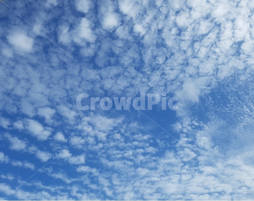 sky,cloud,blue,하늘,구름