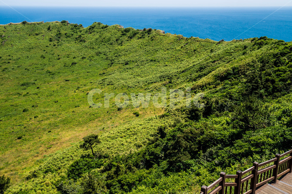 제주도,성산일출봉,여름,바다,자연,자연,풍경,nature,landscape,한국자연풍경,한국자연경관,korea nature landscape,outdoors,옥외,hill,언덕