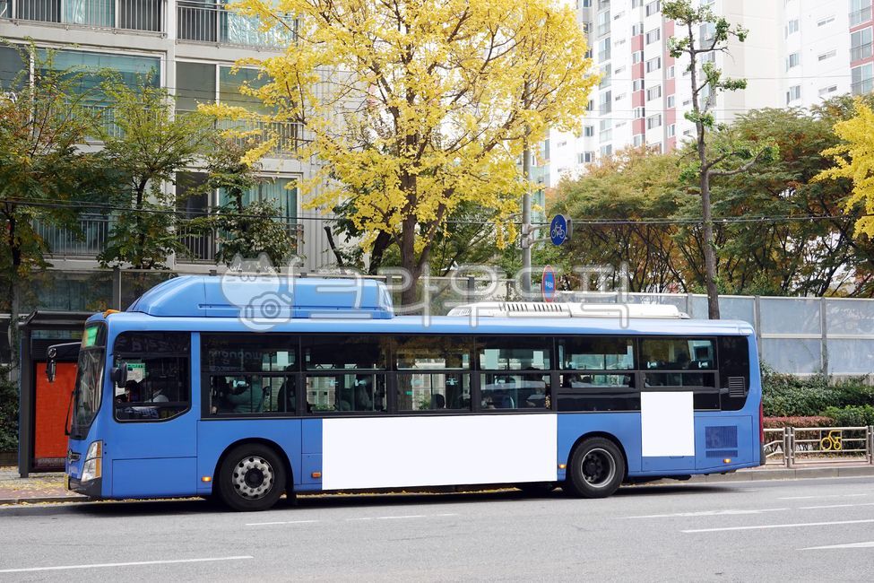 버스,버스광고,목업,목업이미지,광고,광고판,차량광고,시내버스광고,부착광고,옥외광고,판넬,비즈니스,상업광고판,도시배경,사인보드,상업광고,커머셜,비어있는,프레임,광고디자인,빈공간,배경,바탕,백그라운드,사각형광고판,차량,교통수단,bus,busadvertisement,mockup,mockupimage,billboard,vehicleadvertisement,citybusadvertisement,advertisement,outdooradvertisement,panel,business,commercialbillboard,citybackground,signboard,commercialadvertisement,commercial,free,frame,advertisingdesign,emptyspace,background