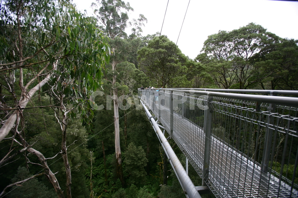 handrail,banister,railing,난간,숲,트레킹,산책,숲길