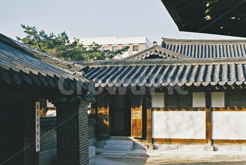 한옥,전통,감성,나무,필카,필름카메라,풍경,빛,그림자,운현궁,한국전통,한국문화,korean traditional,korean culture,감성,sensible,feeling,건축물,건물외관,exterior,building,structure,architecture,construction