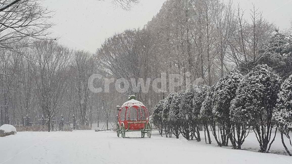 마차,공원,눈,겨울,숲,겨울,계절,winter,season,자연,풍경,nature,landscape,outdoors,옥외,snow