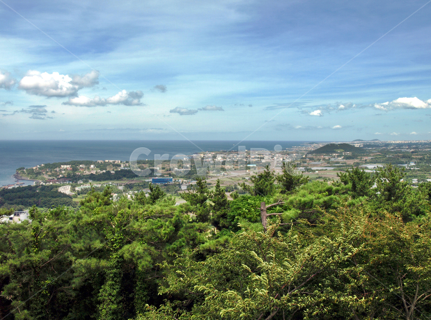 올레15코스,올레,제주,고내봉,푸른하늘,흰구름,자연,마을,바다,제주도,jeju,jeju island,vegetation,초목,plant,식물,outdoors,옥외,landscape,경치,nature,tree,나무,scenery,풍경